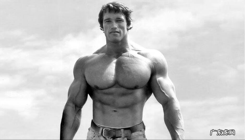 胸推胸推是什么