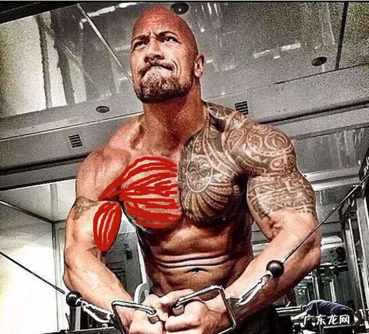 胸推胸推是什么