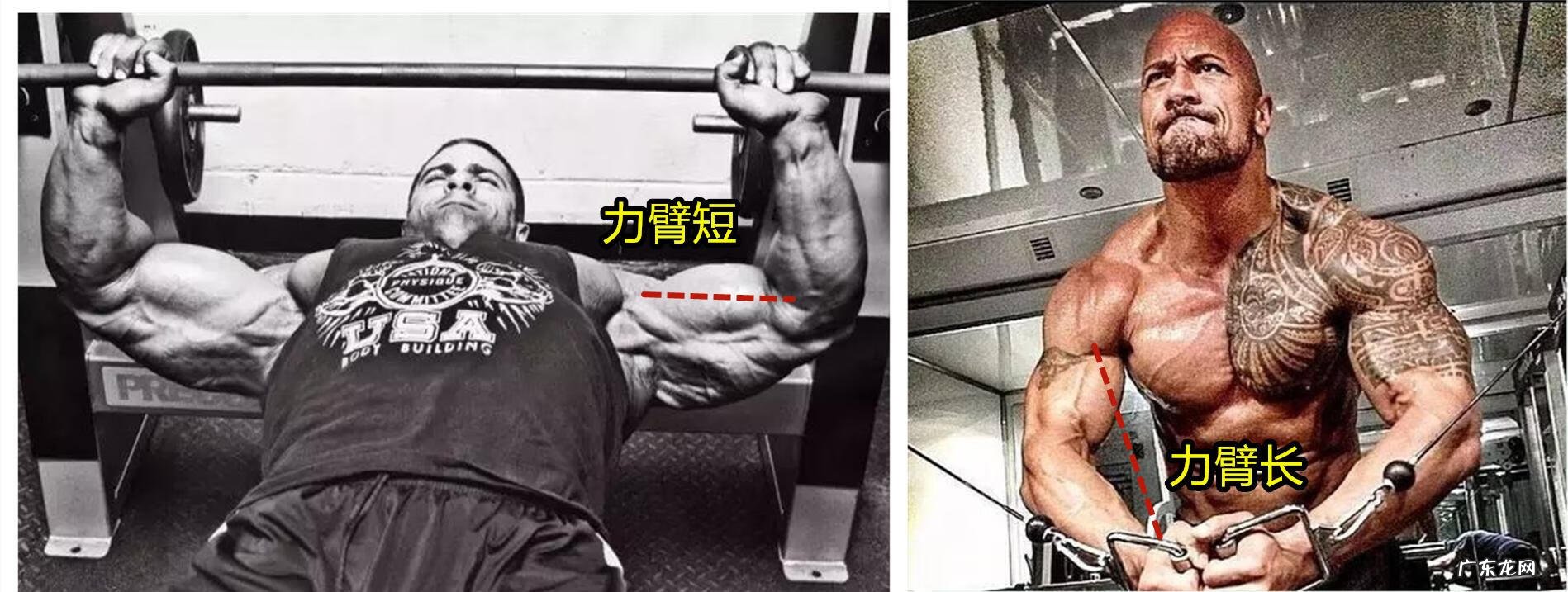 胸推胸推是什么