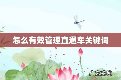 怎么有效管理直通车关键词