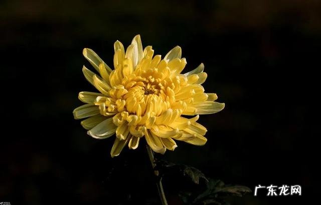 特别脏如果不及时处理会怎么样 人身上最脏的地方是哪里