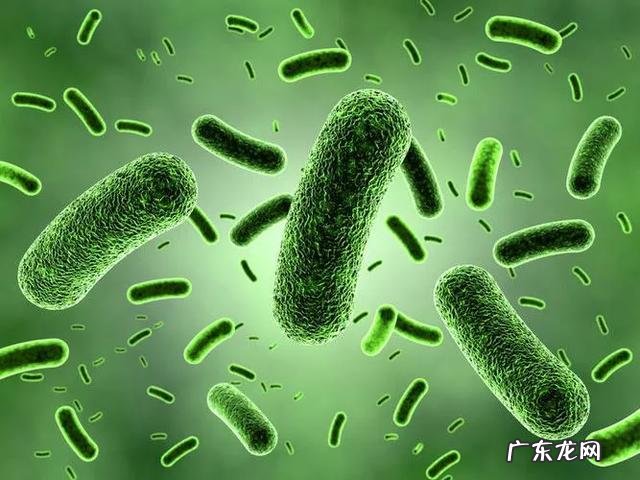 特别脏如果不及时处理会怎么样 人身上最脏的地方是哪里