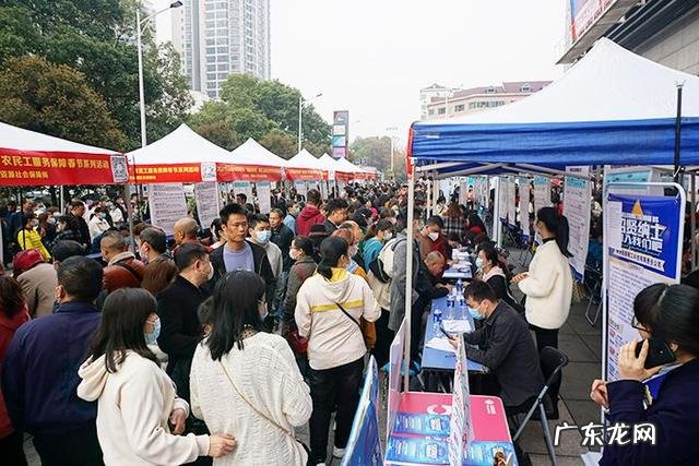 2022年高校毕业生就业形势困难,就业率高的专业有哪些?