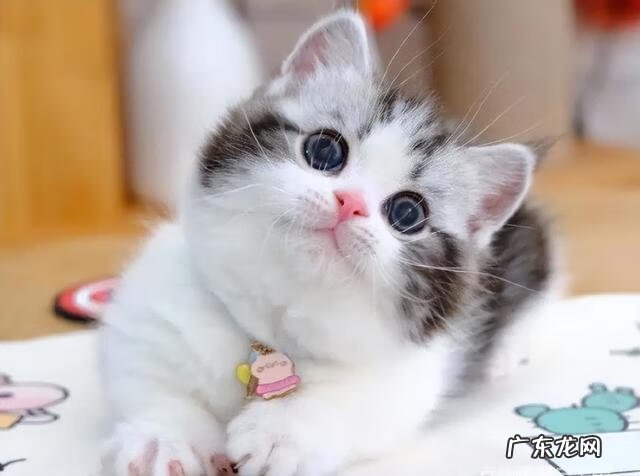 上身短腿长的人 四肢短的人