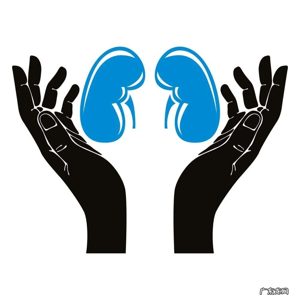 肾的8个“求救”信号及肾内科的3项主要检查