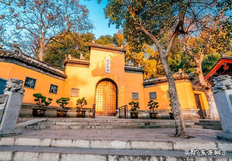 客套拍马屁的话 为什么拍马屁人总比埋头苦干的人混的好