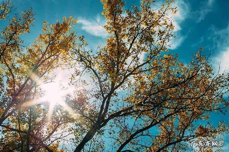 夏天拍摄方案技巧 夏季25个清新创意摄影主题