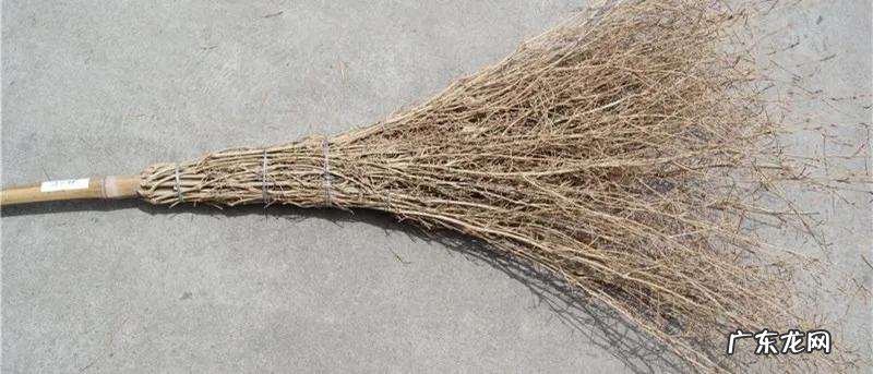 渔竿有上品,学而时习之 小时候你认为的好鱼竿种类有哪些