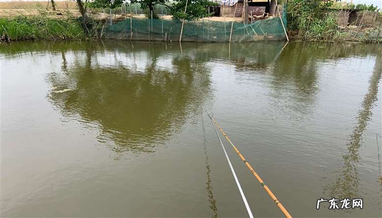 渔竿有上品,学而时习之 小时候你认为的好鱼竿种类有哪些