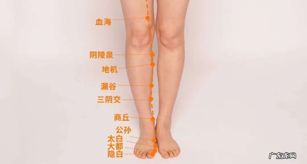 如何通过中医的调理养护好孩子的眼睛视力