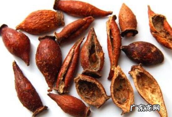 刺橄榄的功效与作用 刺橄榄的药用价值