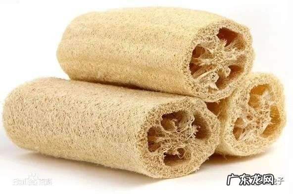 丝瓜的健康功效及妙用