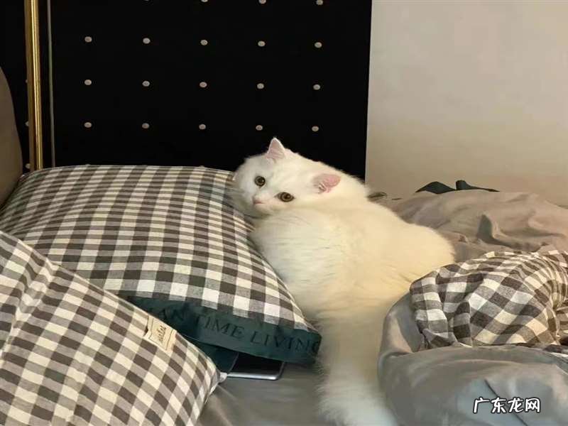 每天坚持10个自律好习惯 如何让自己越活越年轻