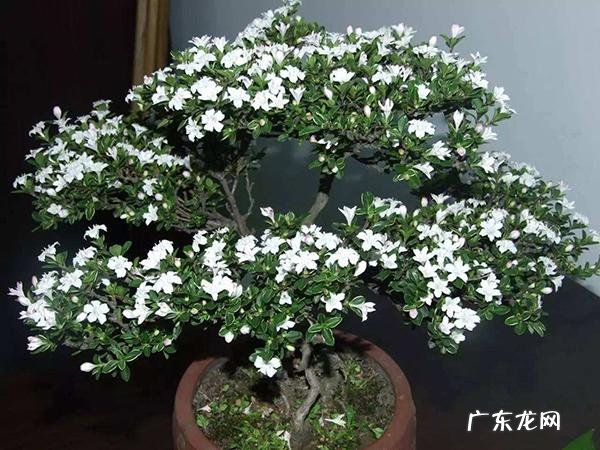 风水什么叫黄泉水 黄泉的风水讲究什么