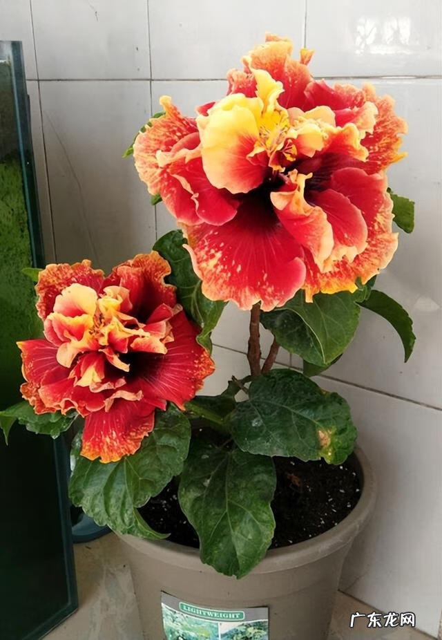 风水什么叫黄泉水 黄泉的风水讲究什么