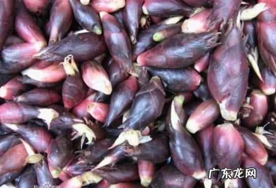 阳霍的功效与作用 阳霍怎么吃