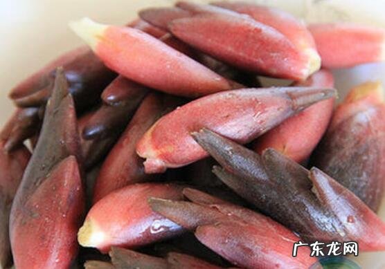 阳霍的功效与作用 阳霍怎么吃