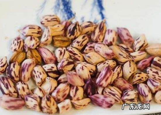 七彩花生吃了有什么好处