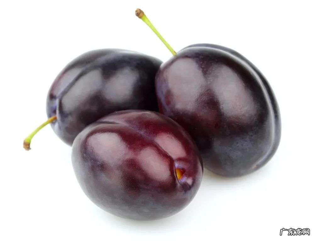 西梅:缓解便秘,顺畅通便小能手