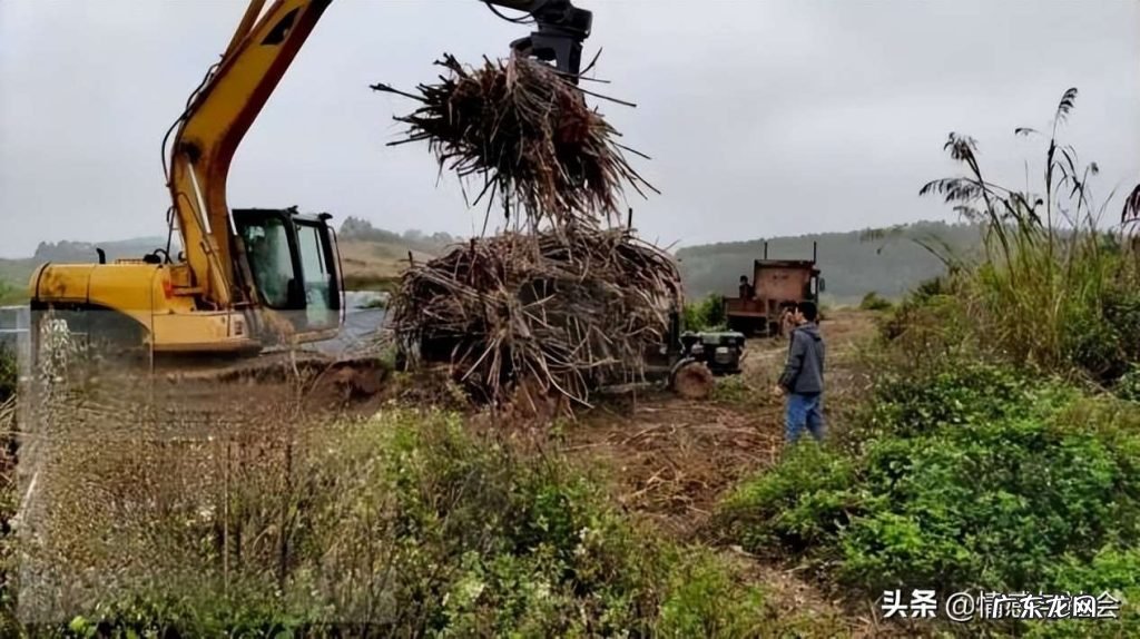 白糖提炼制作的全过程 市面上的白糖是什么做的