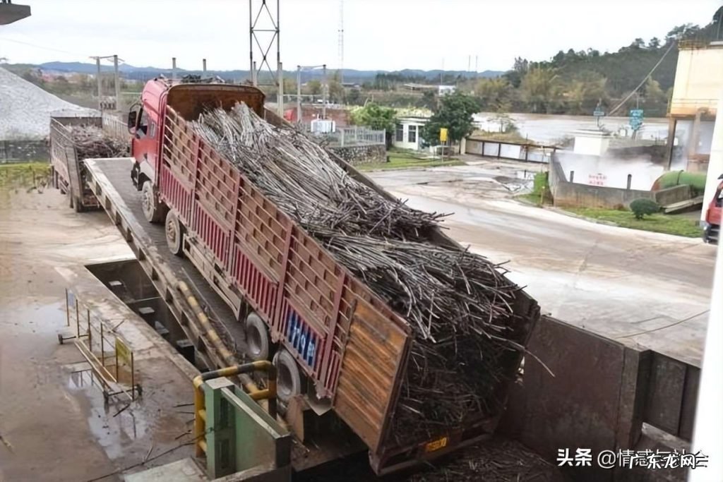 白糖提炼制作的全过程 市面上的白糖是什么做的