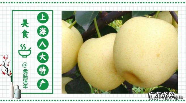 上海八大特产美食小吃排行 上海有啥特产好吃的美食