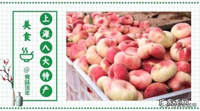 上海八大特产美食小吃排行 上海有啥特产好吃的美食