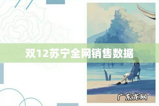 双12苏宁全网销售数据