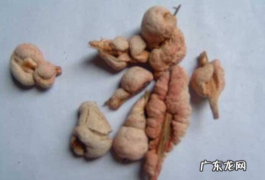 竹黄泡酒对女人的好处