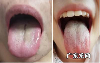 冬天的养生进补思路