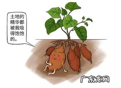 冬天的养生进补思路