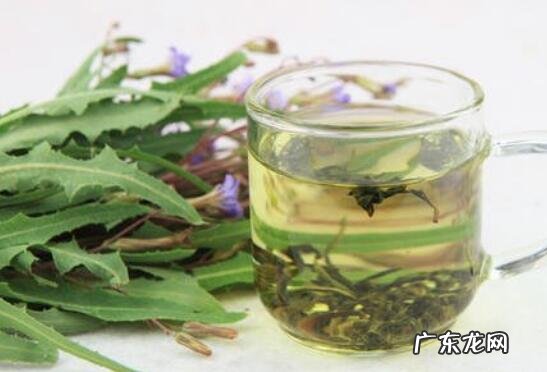 紫花苦菜的功效与作用 紫花苦菜怎么服用