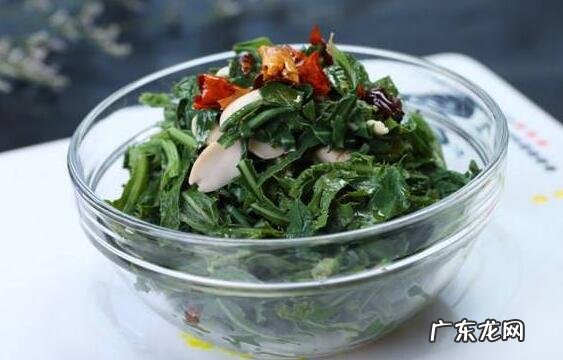 苦菜怎么做好吃 苦菜的正确吃法