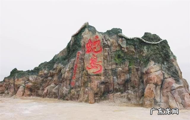 放两只平头哥蜜獾多久能把蛇吃完 大连蛇岛为什么有那么多蛇