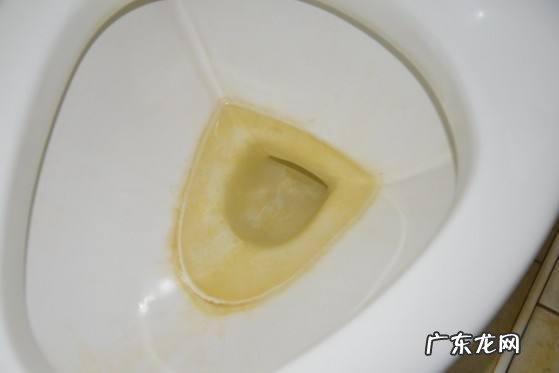 马桶里倒开水有啥作用 往马桶里倒开水有什么危害