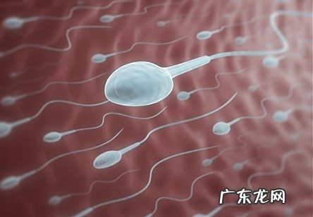 防脱药非那雄胺会影响生育吗?需停用多久?