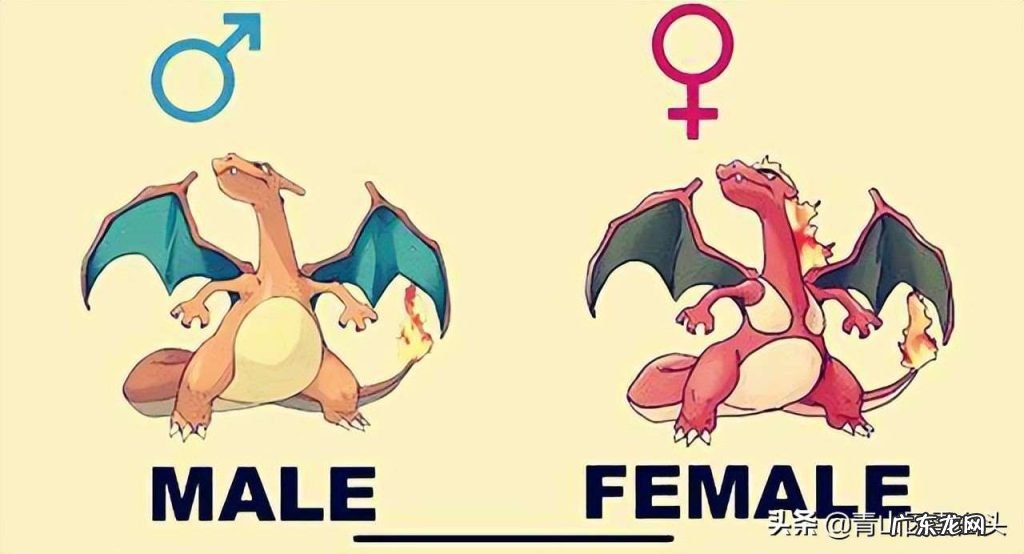 城市绿化出现“重男轻女”现象，是什么原因？