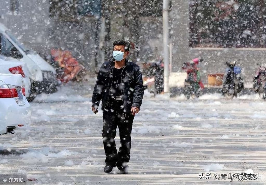 城市绿化出现“重男轻女”现象，是什么原因？