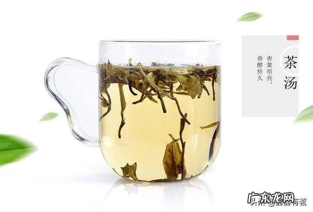 茶的有益成分有哪些 喝茶叶茶有什么好处和坏处