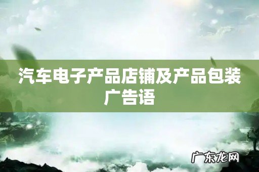 汽车电子产品店铺及产品包装广告语