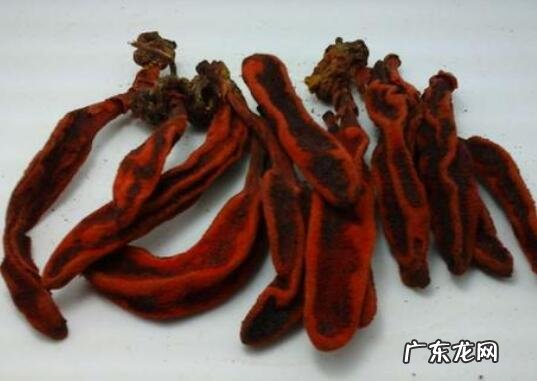 回春草泡酒怎么做 回春草泡酒的制作方法