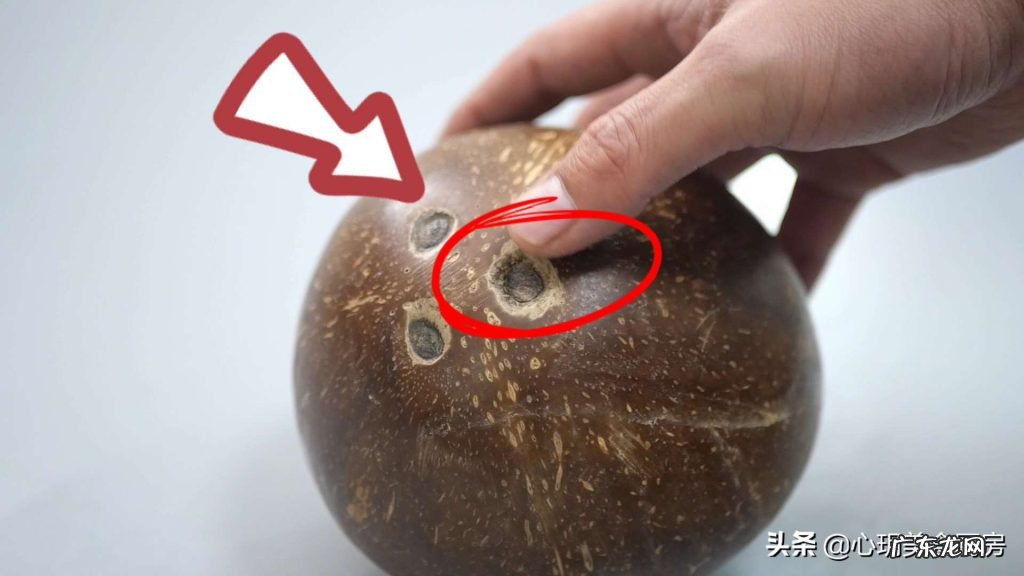 3招轻松打开椰子图解 内行人教你椰子怎么打开吃椰肉