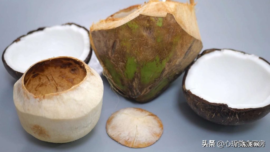 3招轻松打开椰子图解 内行人教你椰子怎么打开吃椰肉