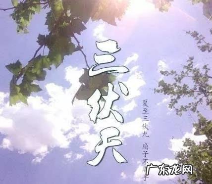 天气预报今年伏天热吗？农谚热不热，就看五月初一？