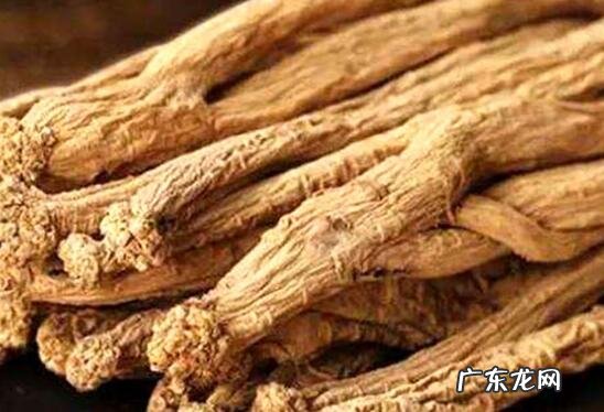 党参根的功效与作用及禁忌