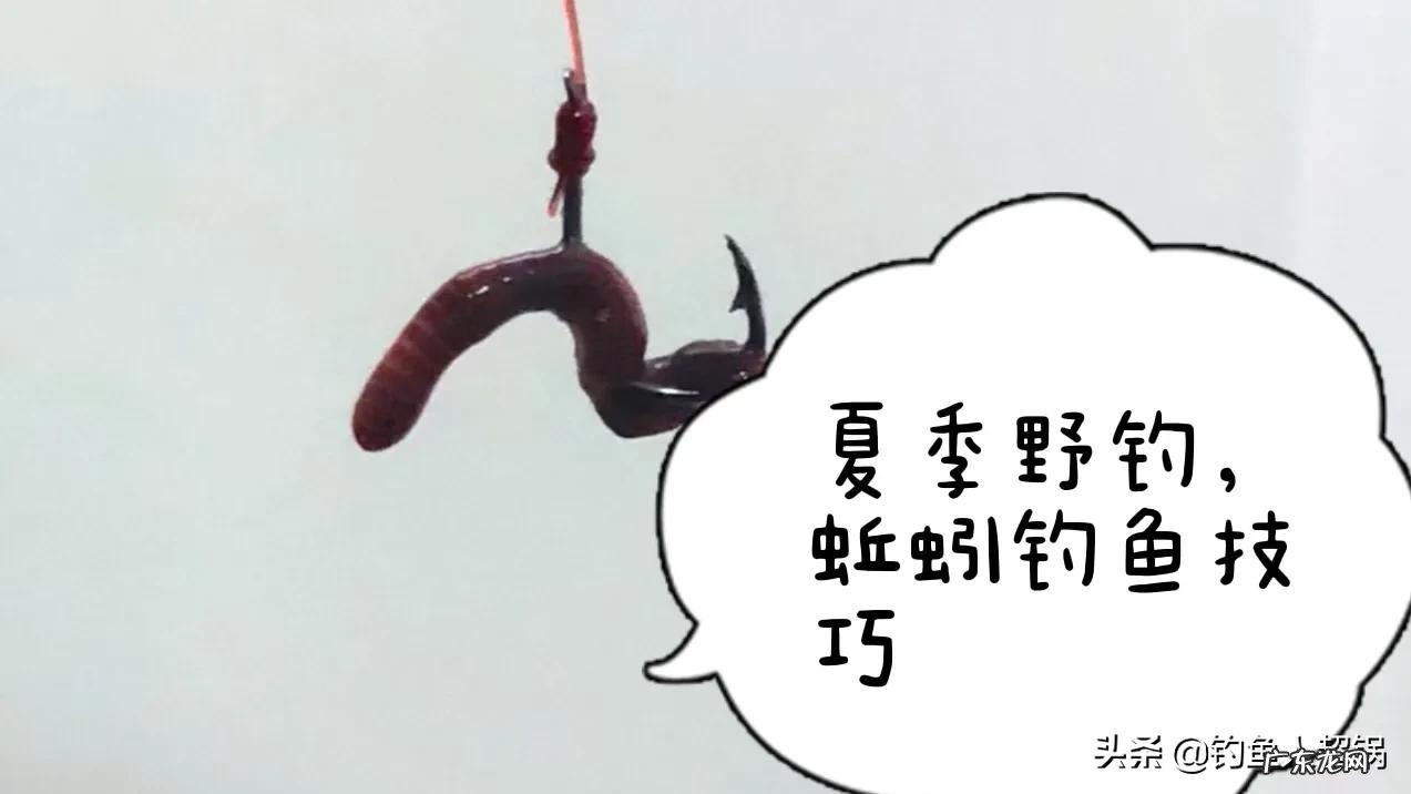 分享夏季用蚯蚓的钓法 夏季钓鱼能用蚯蚓钓吗