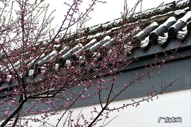 你最喜欢那首诗 北宋文学家王安石最经典的十首诗歌摘抄