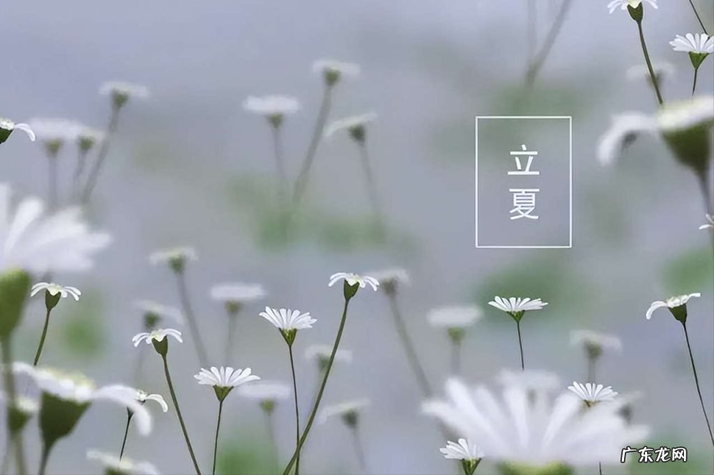入夏的优美诗句有哪些 35首描写有关立夏的古诗
