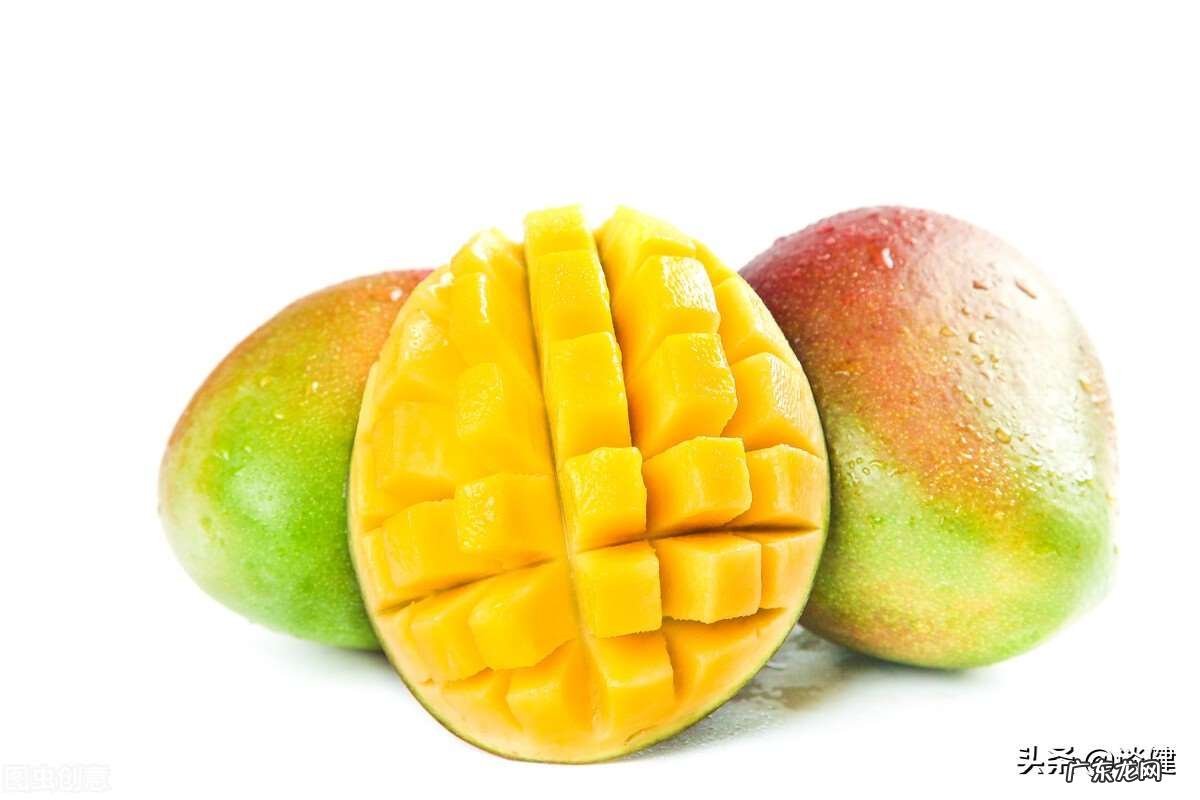 盘点芒果有什么营养价值 芒果和豆浆可不可以一起吃