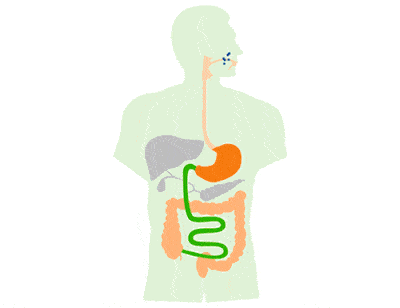 山楂片给孩子当零食,不仅不能促消化,还不健康!